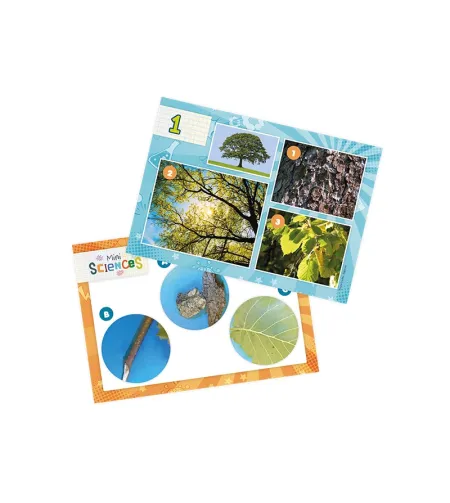 Mikroskops, Buki, Mini Sciences