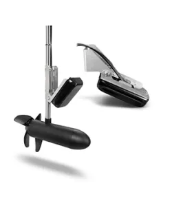 Panoptix PS31 Forward