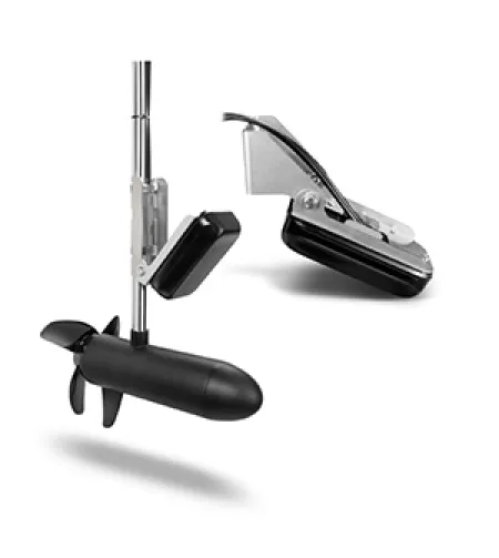 Panoptix PS31 Forward