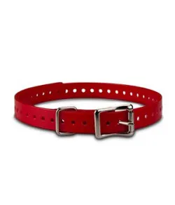 ACC,COLLAR STRAP,3/4",SQ-BUCKLE,TUCK-RING,NICKEL,RED