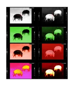 ATN MARS LTV+ 320 5-15x itin lengvas šiluminis taikiklis šautuvui