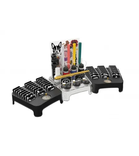 Profesionali tatuiruočių studija, Buki