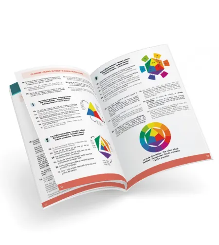 Профессиональный художник студии,  Buki