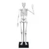 Skeleton 45 cm, Buki