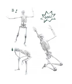 Skeleton 45 cm, Buki