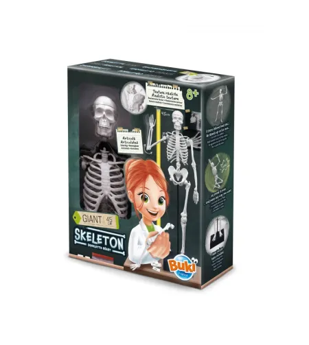 Skeleton 45 cm, Buki