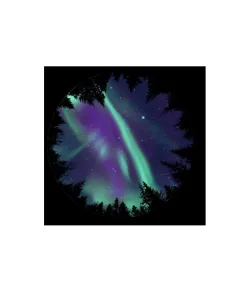 Диск для Sega Homestar Planetarium - Северное сияние