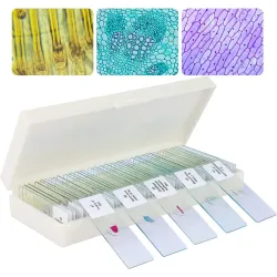 Valmis preparaadid (preparatsioonislaidid)