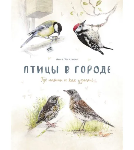 Knyga Птицы в городе. Где найти и как узнать