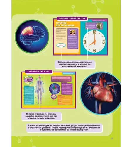 Grāmata,  Большая энциклопедия. Тело человека "RU"