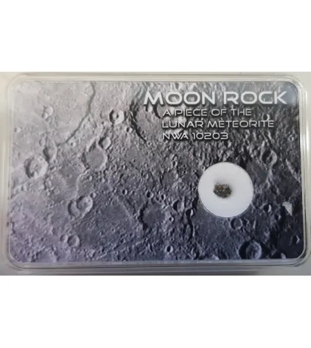 SR-Meteorites meteoritai Tikras Mėnulio meteoritas NWA 10203 XS