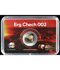 Alien Rocks Meteorites Erg Chech 002 0.7 - 0.99 grams