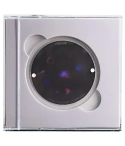 Astrial disk - Nebulae or nebulae
