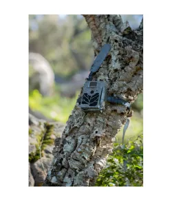 ZEISS laukinės gamtos kamera Secacam 5 100&deg; plataus kampo