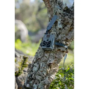 ZEISS Wildlife camera Secacam 5 100&deg; Wide angle