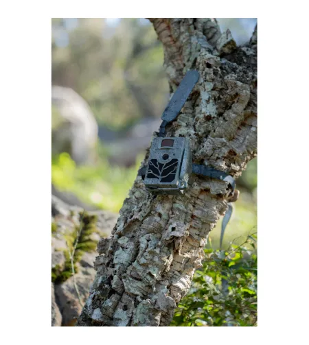 ZEISS Wildlife camera Secacam 5 100&deg; Wide angle