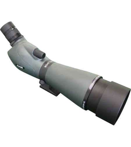 Focus Outlook 16-48x65