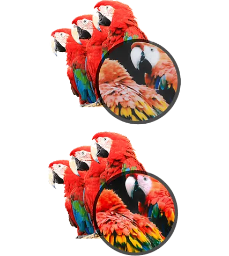 Kodak Mini shot Combo 2 Yellow