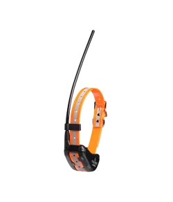 Ceļa meklētājs Artēmijs