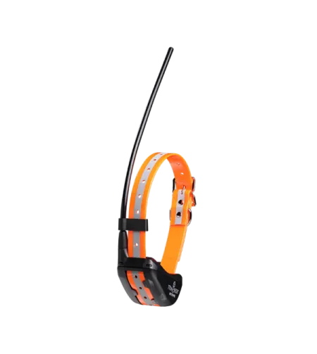 Ceļa meklētājs Artēmijs