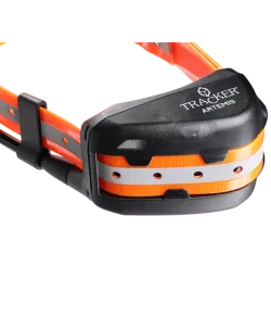 Ceļa meklētājs Artēmijs