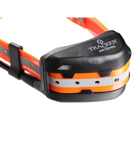 Ceļa meklētājs Artēmijs