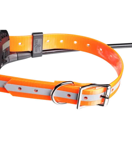 Ceļa meklētājs Artēmijs