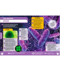 Grāmata Mikropasaule 250 neticamu faktu (RU)4