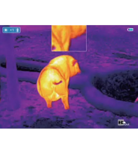 Šiluminis taikiklis Saim SCT35 V2 INFIRAY