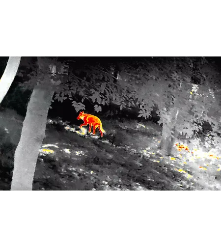 Thermal Imaging Rifle Scope INFIRAY GL35R Series