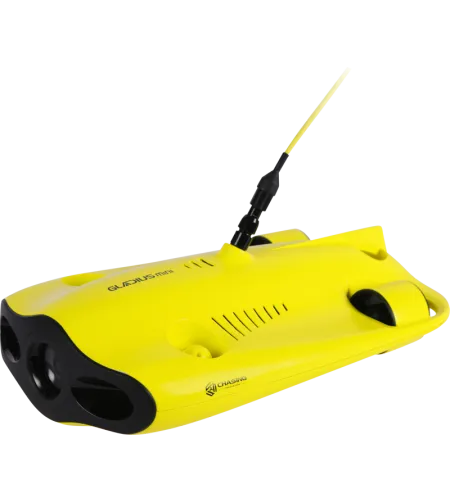 Chasing Gladius Mini 100m