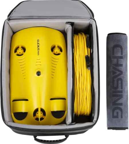 Chasing Gladius Mini 100m