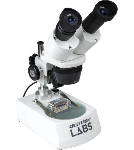 Celestron Labs S10-60 Stereo Microscope