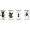 Celestron Microscope sample 3D bug Kit #5
